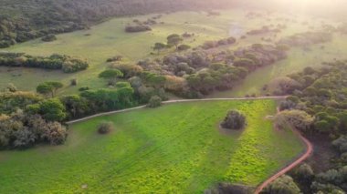 . Tepeler, yeşil tepeler, manzara, yeşil çimenler. Gün batımını izliyorum..