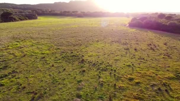 太陽の光の最後の線。ピーク、丘、風景、緑の草。夕日を見ながら. — ストック動画