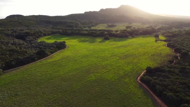 Vista aérea do drone sobre a floresta verde. Vista para a montanha ao pôr do sol. Vista da hora dourada — Vídeo de Stock