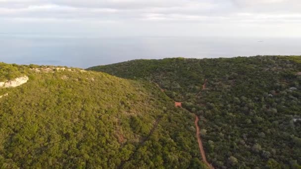 Vista aérea del dron sobre el bosque verde Último rayo de sol. Picos, verdes colinas — Vídeos de Stock