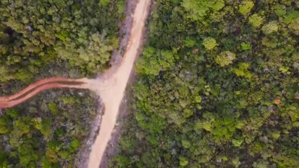 Drone schot in Portugal, Sesimbra. Landschap, groen gras. Zonneschijn in boomtoppen — Stockvideo