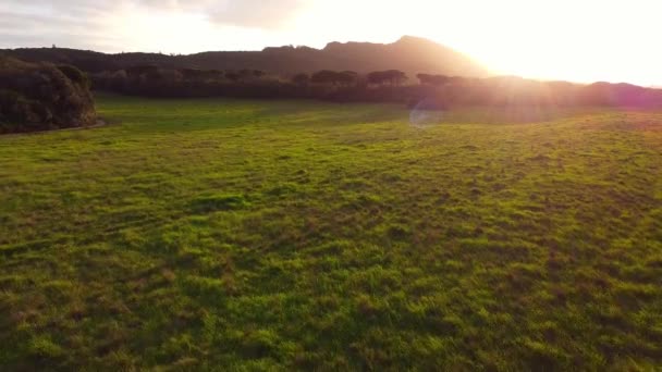 緑の森の上に空中ドローンビュー。日没の山の景色。黄金の時間 — ストック動画