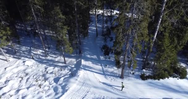 Una persona sciare su una pista, seguendo con drone fotocamera a foresta con sciatore. — Video Stock