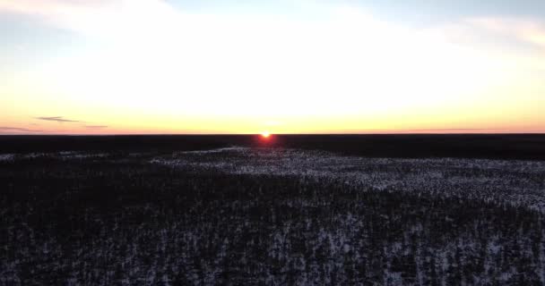 Voando sobre pântano congelado wintry enquanto com vista para o pôr do sol. O sol está a pôr-se. Aviação — Vídeo de Stock