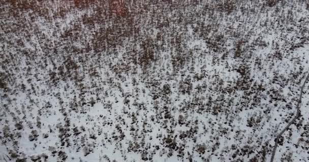 Епічний повітряний політ над таємничим болотом на заході сонця. Слідом за сонцем . — стокове відео