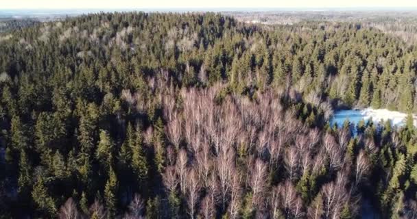 Luchtbeelden over heuvelachtig bos, uitzicht op het winterlandschap. Zonnige dag geweldig weer — Stockvideo