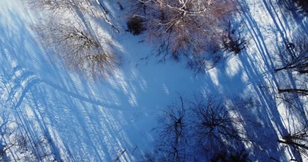 Persona esquí de fondo más allá de la ruta de esquí. Idílico invierno maravilla vista. — Vídeos de Stock