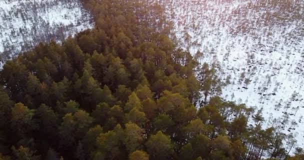 Drohnenaufnahmen aus der Luft über dem Wald bei Sonnenuntergang im Winterwunderland. Drohnenschuss im Flug — Stockvideo