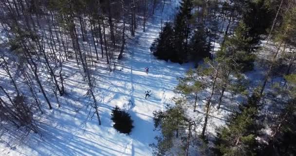 Drone che sorvola un gruppo di sciatori salendo la collina. Competizione tra atleti — Video Stock