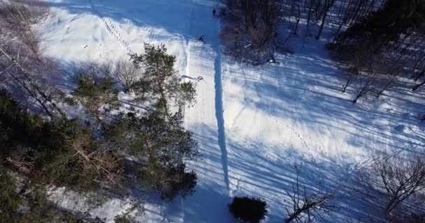 Skidtävling i mycket kallt väder. Flygfoto skidåkare går uppför backen. — Stockvideo
