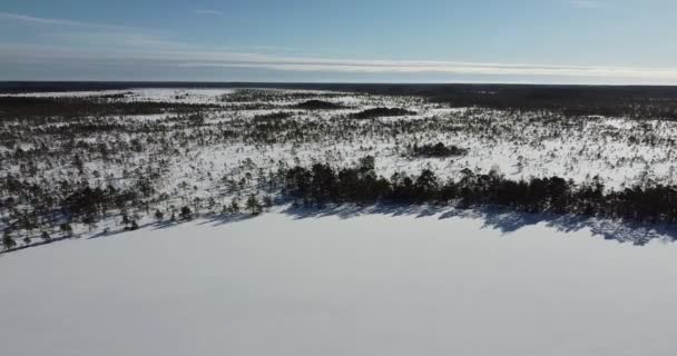 Donmuş göl ve düz arazi üzerinde kuş bakışı görüş. Bataklık bataklığı. alçak arazi. — Stok video