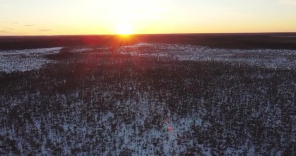 太陽が森の後ろに沈んでいる。雪に覆われた土地の上のドローン映像. — ストック動画