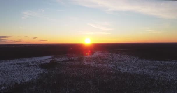 Clip cinematográfico aéreo, dron volando sobre pantano místico, cielo azul — Vídeos de Stock