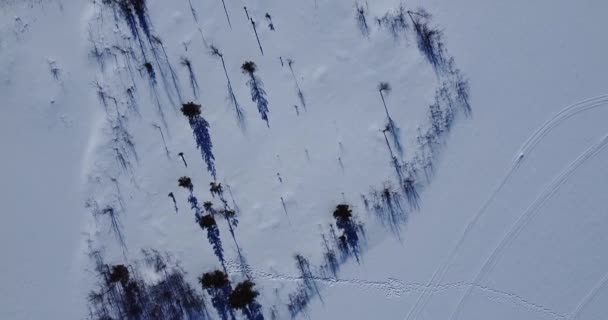 Liten ö på vintern täckt med snö, runt frusen sjö. Flyg ovan — Stockvideo