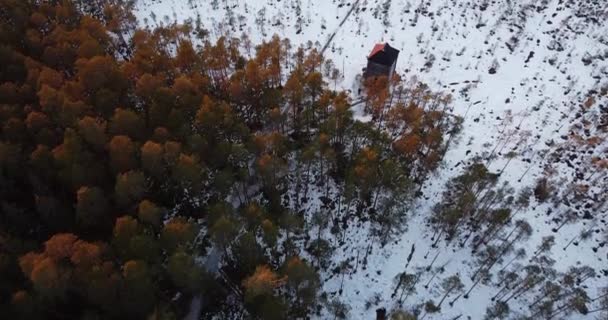 Volando sobre el bosque con colores de sol y una pequeña casa de troncos. Borde del bosque — Vídeos de Stock