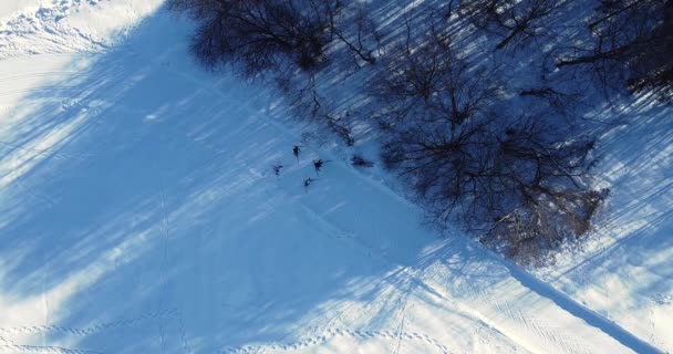 一群滑雪者爬上了山坡。空中俯瞰着正在挣扎的运动员 — 图库视频影像