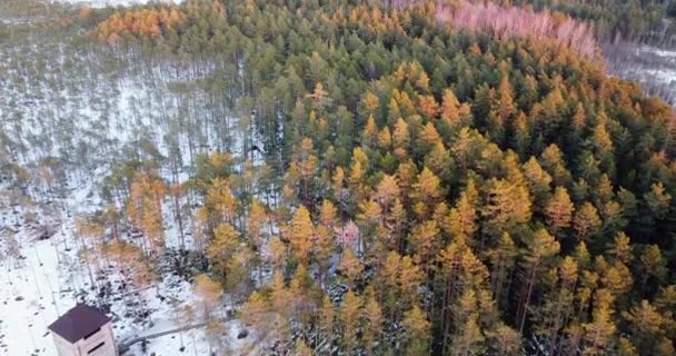 Летаю над деревянным домиком над закатным лесом. Живописный зимний пейзаж, — стоковое видео