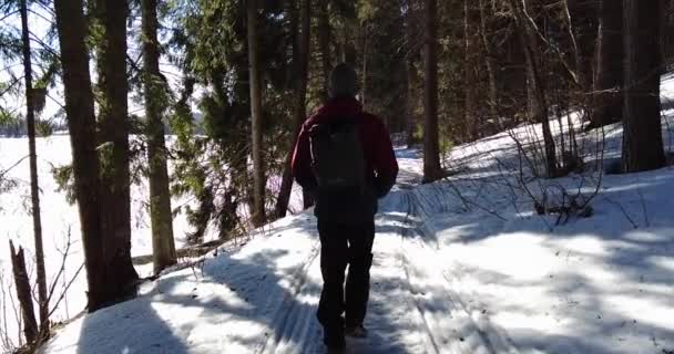 Male hiker backpacker is walking ahead while looking over beautiful frozen lake — Stock Video