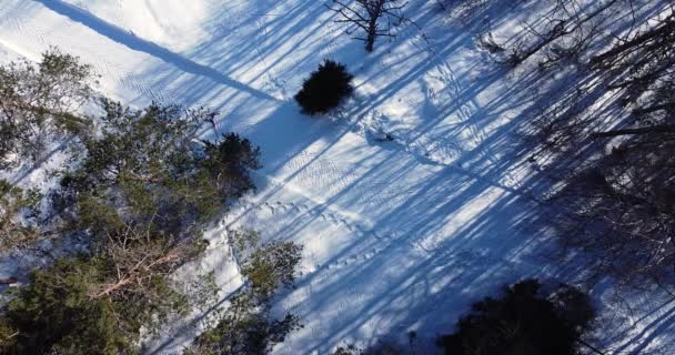 Aerial top down wyścigu pomiędzy sportowcami narciarzy. Biathlon w sezonie zimowym — Wideo stockowe