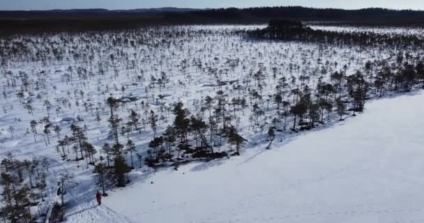 Überfliegen einer Frau, die in den Wald geht. Verlassen zugefrorenen See. Silhouette — Stockvideo