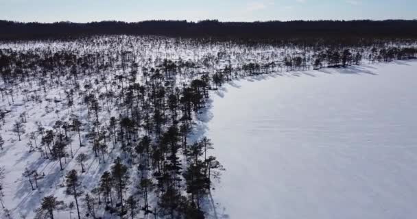 Volando lentamente sobre el lago congelado y el pantano frío helado. Silueta con vistas — Vídeos de Stock