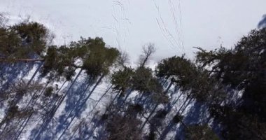 Bir grup insan donmuş gölün yanındaki kış kayak pistinde koşuyor.. 