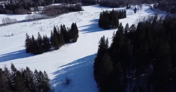 Vliegen over bevroren meer omgeven door schaduwen van de bomen. Lange schaduwen — Stockvideo