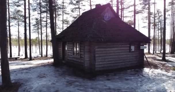 Latanie nad chatką w lesie, koncepcja sylwetki. Słońce świeci — Wideo stockowe