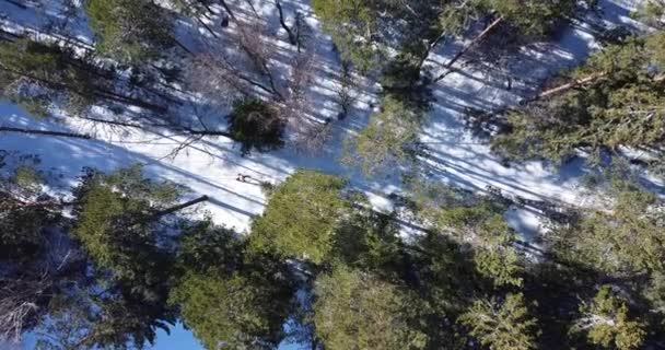 На лижній трасі їздять лижники. Вид з повітря на гірськолижну трасу — стокове відео
