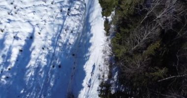 Yukarıdan kayakçıya bakıyor. Maraton, biatlon. Yarış üzerinde hava görünümü.
