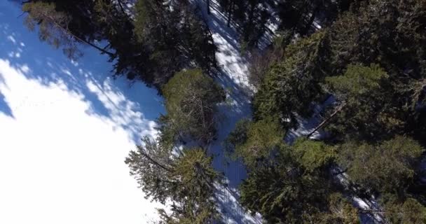 Grupa zawodników wyczynowych narciarzy jeździ na nartach, podczas gdy zdjęcia dronów lotniczych — Wideo stockowe