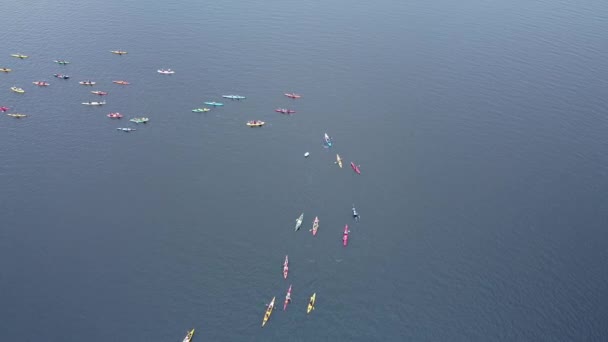 Top down view of kayakers and canoes passing by the checking point. Canoe — 비디오