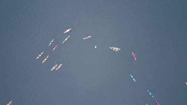 Drone footage of many boats kayaking. Canoes going past the checking point. — Vídeo de stock