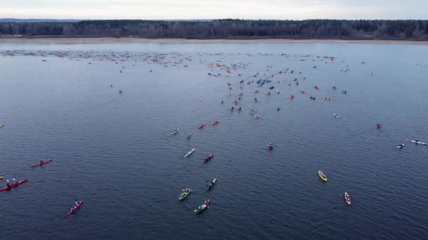 Desporto canoas remando em um lago. Muitos atletas esportivos remando e remando — Vídeo de Stock