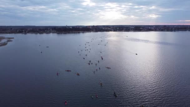 Запись соревнований профессиональных спортсменов на озере с дрона. Гребля и гребля. — стоковое видео