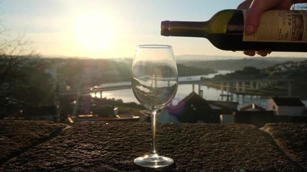 The red wine is poured to the transparent glass. Slow motion pouring red wine — Stock video