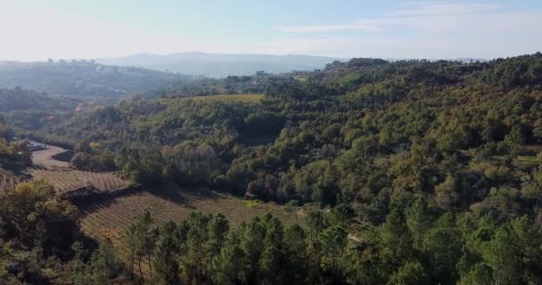 美しいポルトガルの谷の空中ビュー 緑の山の森を飛び越える 背景に美しい青い山 太陽の光で木の上 そうだ 高品質のフルHd映像 — ストック動画