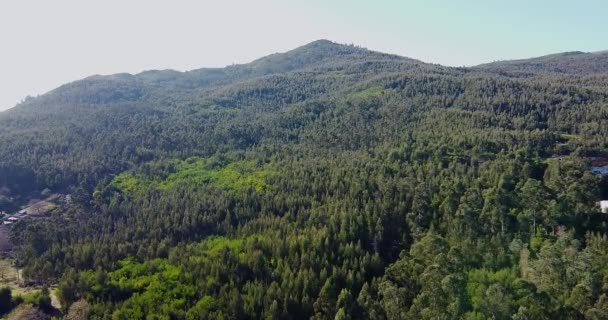 Вид Воздуха Красивую Португальскую Долину Летаю Над Зеленым Горным Лесом — стоковое видео