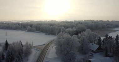 Soğuk kış ormanının kuş bakışı manzarası. Ağaçların tepesinde güzel bir ışık var. Kış görüntüleri. Sert kutup kışı. Buzlu ağaçlar. Ağaçları karla kaplı peri ormanı. Kar yağışı. Ormanda güneş ışığı. 