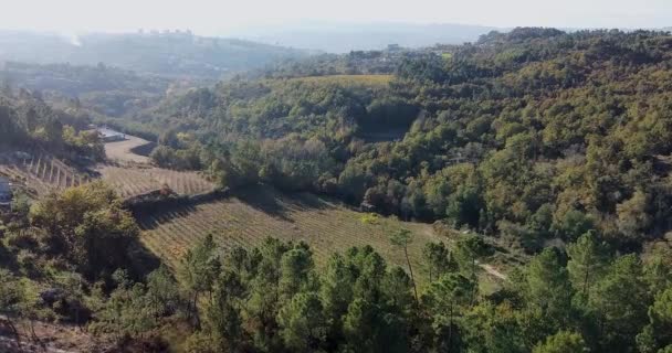 美しいポルトガルの谷の空中ビュー 緑の山の森を飛び越える 背景に美しい青い山 太陽の光で木の上 そうだ 高品質のフルHd映像 — ストック動画