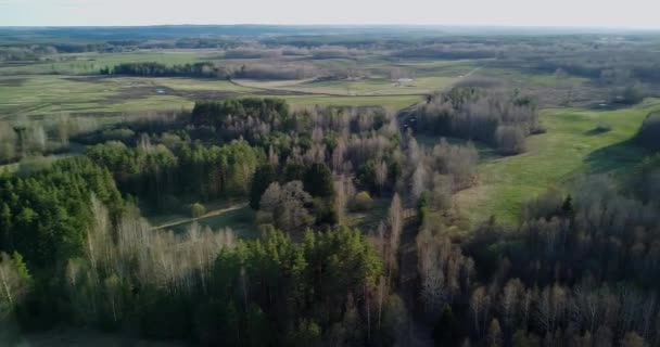 Groene Velden Landbouwconcept Prachtige Blauwe Lucht Zonsondergang Zonnestralen Gaan Door — Stockvideo