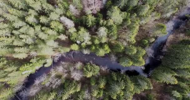 Drone Draait Vliegt Stromende Rivier Prachtig Groen Landschap Donker Humeurig — Stockvideo