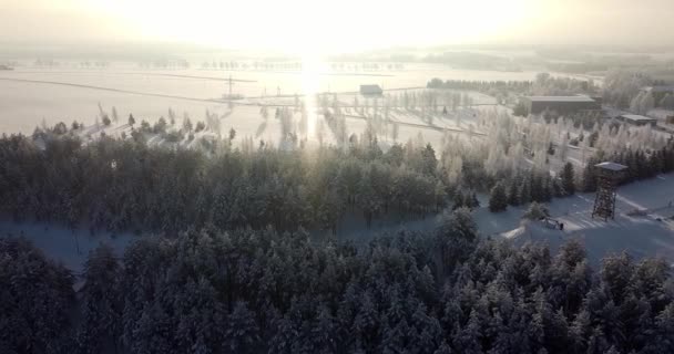 Sol Brilla Brilla Nieve Está Nevando Hermoso Paisaje Frío Invierno — Vídeos de Stock