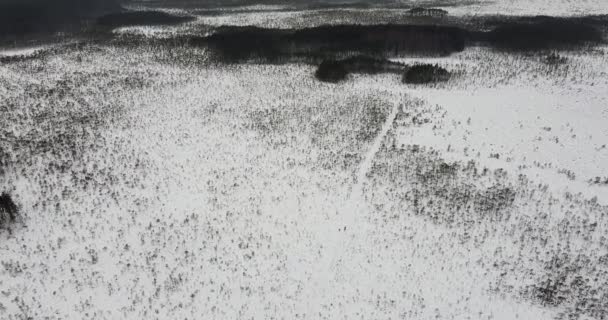 Een Moerasvijver Vliegen Winter Wandelpad Gaat Het Midden Natuurlijke Meer — Stockvideo