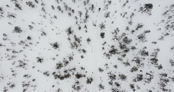 一个徒步旅行者在小径上行走的自上而下的视频 美丽的心情和覆盖着积雪的风景 一个人走路 一个人远足 与世隔绝 自愈远足小径鸟瞰 — 图库视频影像