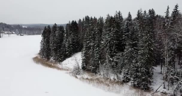 飞向森林 俯瞰结冰的湖面 黄昏的时候闷热的天气 下雪了森林被雪覆盖 无人机镜头飞越冰冻的湖面 — 图库视频影像