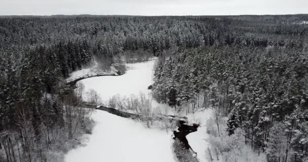 渓谷の中を流れる川のねじれ飛んでいます 隣には素晴らしい大きな森があります 雪に覆われた森 暗い川だ カメラで下に傾ける 美しい景色を眺めます 雪に覆われた木 — ストック動画