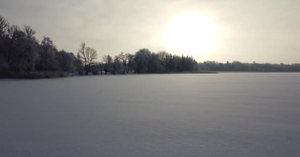 在结冰的湖面上飞来飞去 在结冰的森林上飞来飞去 被雪覆盖的树 黄昏的时候闷闷不乐的黑暗天气 无人机录像 是的优质Fullhd影片 — 图库视频影像