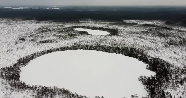 Летают Над Двумя Замёрзшими Озерами Болоте Удивительная Дикая Природа Зимой — стоковое видео