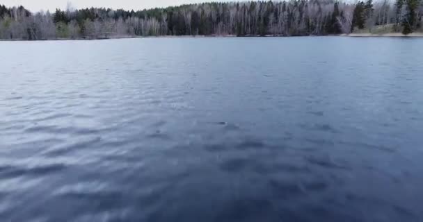 Flying Closely Lake Texture Going Forest Woods Spring Season Beautiful — Stockvideo